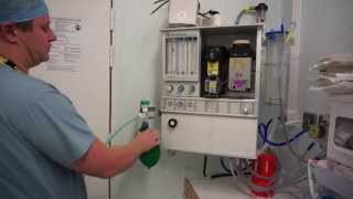 Anaesthetic machine check real time bain circuit [upl. by Benedic]