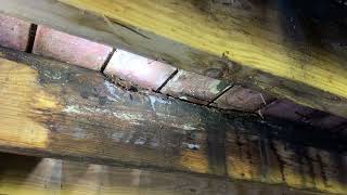 Rotted deck joist [upl. by Launam]