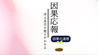 第１回：「因果応報」を味方につける｜今、この瞬間から不運な人生を好転させる秘訣 [upl. by Carli]