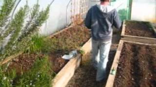 Polytunnel walk [upl. by Odnomra]