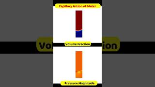 Capillary Action of Water Simulation  Comsol Multiphysics Software  CFD [upl. by Smaoht251]