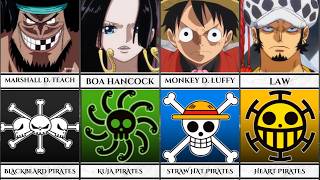 EVERY Pirate Captains and their Crews in One Piece  EveryAnimeExplained [upl. by Bracci]