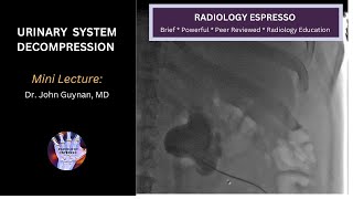 URINARY SYSTEM DECOMPRESSION  PERCUTANEOUS NEPHROSTOMY TUBE Mini Lecture Dr John Guynan MD [upl. by Kaitlyn]