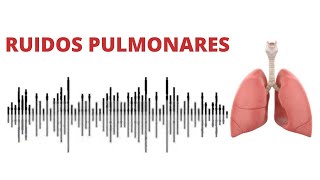 AUSCULTACIÓN PULMONAR ruidos normales y anormales [upl. by Notneb]