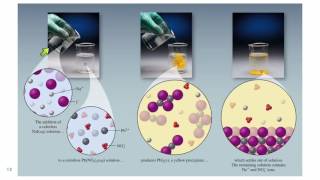 42 Precipitation Reactions [upl. by Ike248]