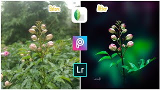 Mobile Photography  Photo Editing  PicsArt Photo Editing  Lightroom Photo Editing [upl. by Azar665]