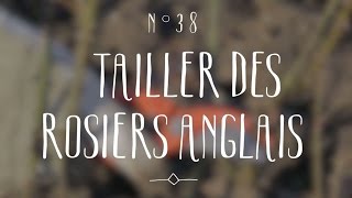 Tailler des rosiers anglais [upl. by Safko]