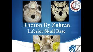 Rhoton By Zahran 2 Inferior Skull Base [upl. by Lester]