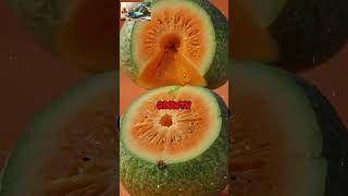 The benefits of cantaloupe fruit 🍈 [upl. by Windsor]