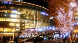 グランフロント大阪のイルミネーション GRAND WISH CHRISTMAS 2013 Osaka Umeda Japan [upl. by Shannen]