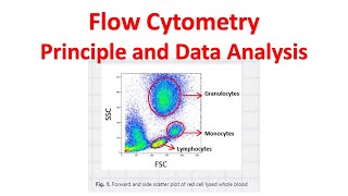 Flow cytometry Tutorial  Flow Cytometry Data Analysis  Flow cytometry Gating [upl. by Aisatana560]