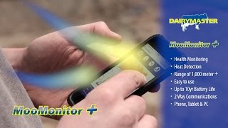 Cows texting dairy farmer MooMontor health amp fertility monitor [upl. by Ezeerb]