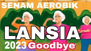 SENAM AEROBIK LANSIA MUSIK GOODBYE FULL [upl. by Spooner]