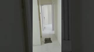 2bhk flat rent Mandaveli bsnlChettinadVidyashramPSSENIORStjohnsChaithanyaSaibabaTempleAdyar [upl. by Reamy160]