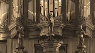 Canon in D Johann Pachelbel [upl. by Sillsby]