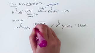 Basic transesterification [upl. by Analiese]