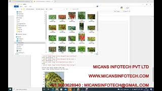 Chili plant leaf disease detection and classification python code Convolutional Neural Network [upl. by Siriso]