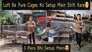 Loft Ke Sabhi Cages Ko Setup Me Kardiya  4 Pairs Ko bhi Shift Kardiya😍🕊 [upl. by Nylessej]