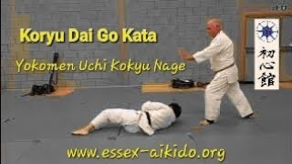 Tomiki Aikido Kata Koryu Dai Go Yokomen Uchi Kokyu Nage [upl. by Phaidra]