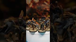 Kroot Test Models Warhammer 40K [upl. by Canale]