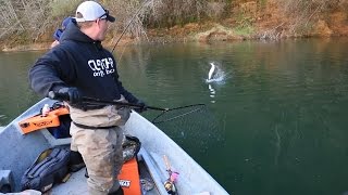 Twitching jigs for Humptulips River Coho Salmon [upl. by Adnolat789]