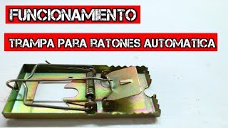 Trampa Para Ratones Funcionamiento Ratonera Review YMX review [upl. by Argela]