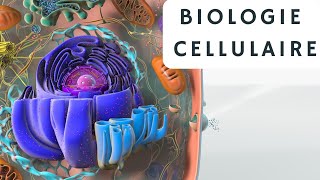 biologie cellulaire s1 introduction générale شرح بالدارجة 🔥 [upl. by Bergwall371]