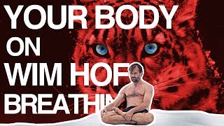 Control your Breath Control your Body Wim Hof Explained [upl. by Amikehs]