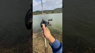 shimano scorpion dc casting sound [upl. by Cul]