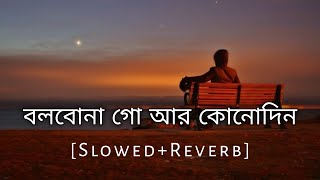 Bolbo Na Go Ar Kono Din  Slowed And Reverb  Baul Sukumar  Bengali Lofi Song  10 PM BENGALI LOFI [upl. by Demetris]