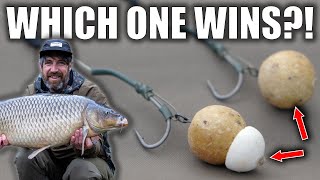 Carp Fishing Hookbaits Challenge  Bottom Baits Vs Tipped [upl. by Flanders497]