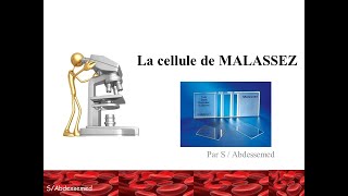 La cellule de Malassez [upl. by Brodie]