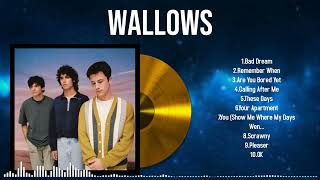 2024s Biggest Hits by Wallows Songs for Every Heart and Soul [upl. by Clementi]