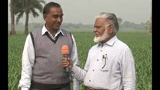 Banglar Krishi Episode no 455 Gom Chas Rajshahi 09 February 2018 [upl. by Kedezihclem]