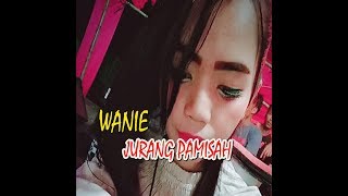 JURANG PAMISAH  RABAB KACANG MANOGE 2  RIL FEAT WANIE [upl. by Potash]