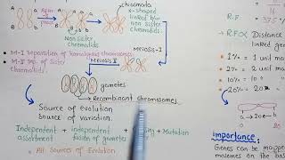 Crossing Over Linkage And Recombination Frequency [upl. by Ardine]