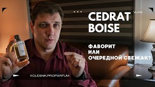 Обзор Mancera Cedrat Boise Фаворит или очередной свежак [upl. by Amlas]