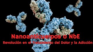 NANOANTICUERPOS o NbE REVOLUCIÓN en el TRATAMIENTO del DOLOR y la ADICCIÓN [upl. by Myer]