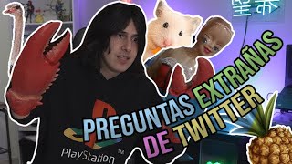 HAMSTERS BARBIES Y PLATANOS RADIACTIVOS  Preguntas EXTRAÑAS de TWITTER [upl. by Aicire216]