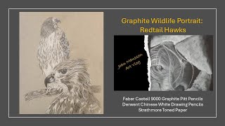 Graphite Nature drawing Redtail Hawks [upl. by Duarte]