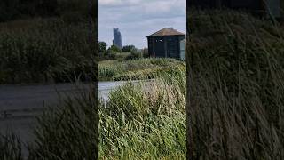 View From The Huts  London Wetland Centre [upl. by Dorreg]