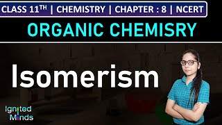 Class 11th Chemistry  Isomerism  Chapter 8 Organic Chemistry  NCERT [upl. by Rajiv663]