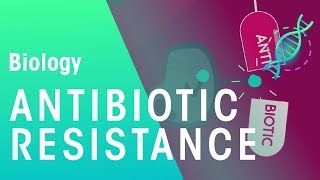 Antibiotic Resistance  Health  Biology  FuseSchool [upl. by Darian]