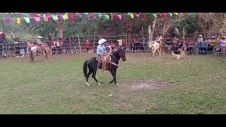 Gran Jaripeo ranchero en tepetate Veracruz 2024 [upl. by Sansone]