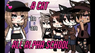 a Cat in an all Alpha School 💕 Glmm English [upl. by Dempstor506]