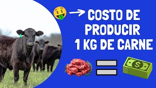 🤑🐂¿CUÁNTO CUESTA PRODUCIR 1 KG DE CARNE  ECONOMÍA GANADERA 🐂🤑 [upl. by Bearnard676]