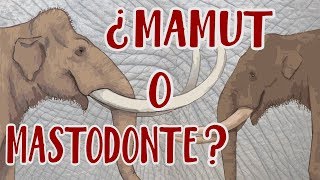 ¿Mamut o mastodonte  Y cuál es la diferencia [upl. by Sonya]