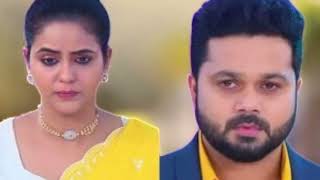 Kayal Serial Promo  Tamil Serial Review [upl. by Jaquiss]