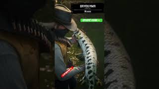 Poisson légendaire rdr2 clips reddeadredemtion2 poisson jeuxvidéo abonnetoi [upl. by Ynnaej]