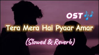 Tera Mera Hai Pyar Amar Ost Song🎶 Slowed  Reverb Ishq Murshid Ost  Ahmad Jahanzeb  HUM TV [upl. by Aisela]